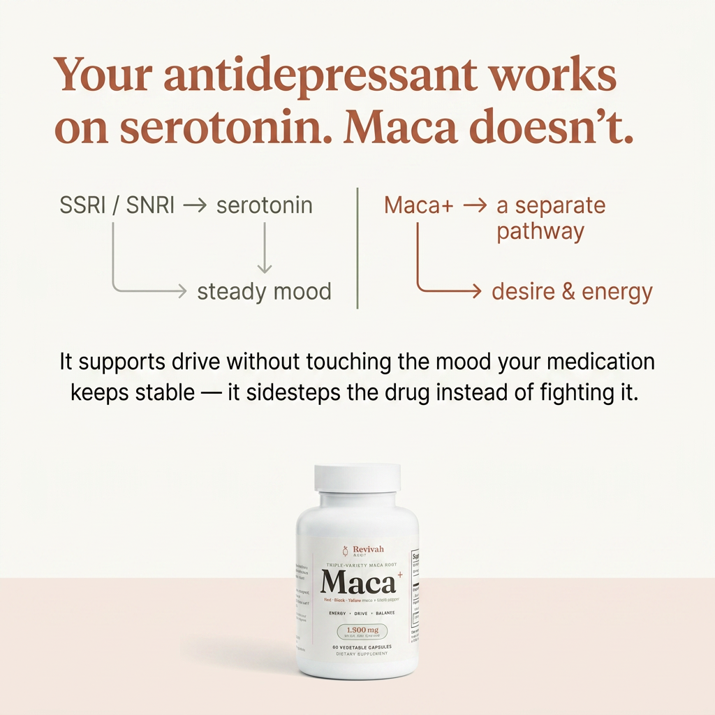 Maca works on a different pathway than your antidepressant